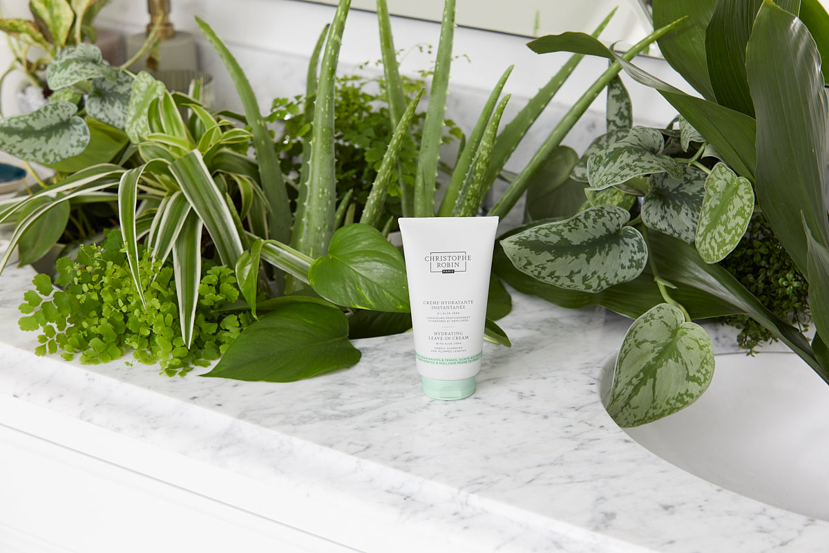 Christophe Robin - Hydrating Leave-in Cream With Aloe Vera 150ml