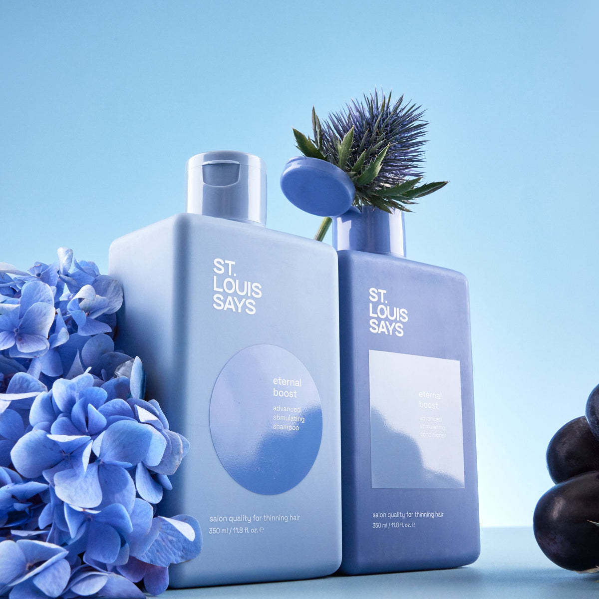 Two bottles of 'St. Louis Says' with hydrangeas and thistle flowers on a light blue background