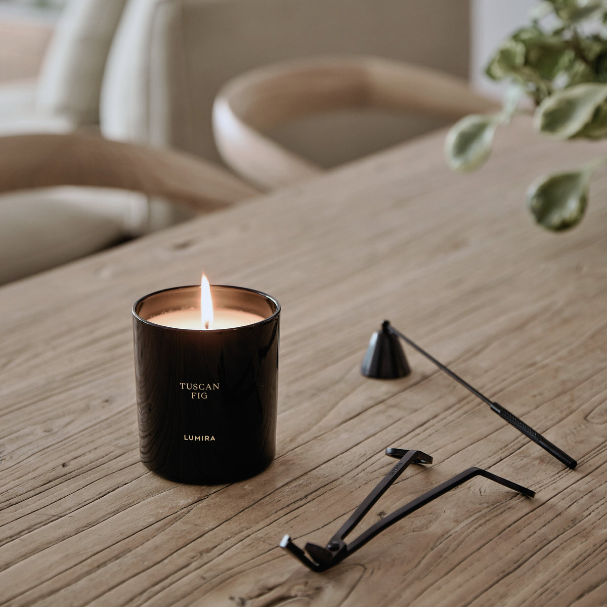 Tuscan Fig Candle by Lumira, packaging