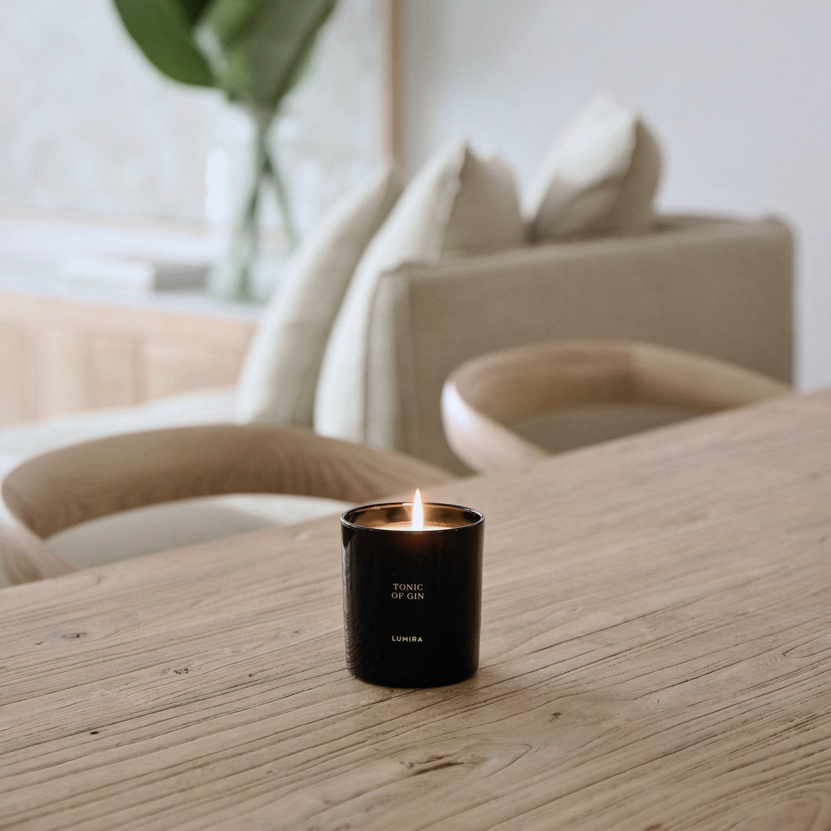 Tonic of Gin Candle